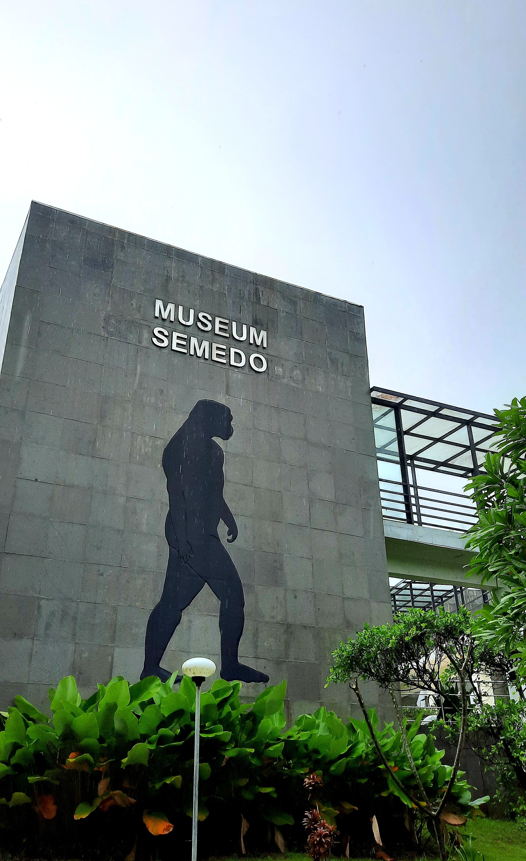 Museum Semedo